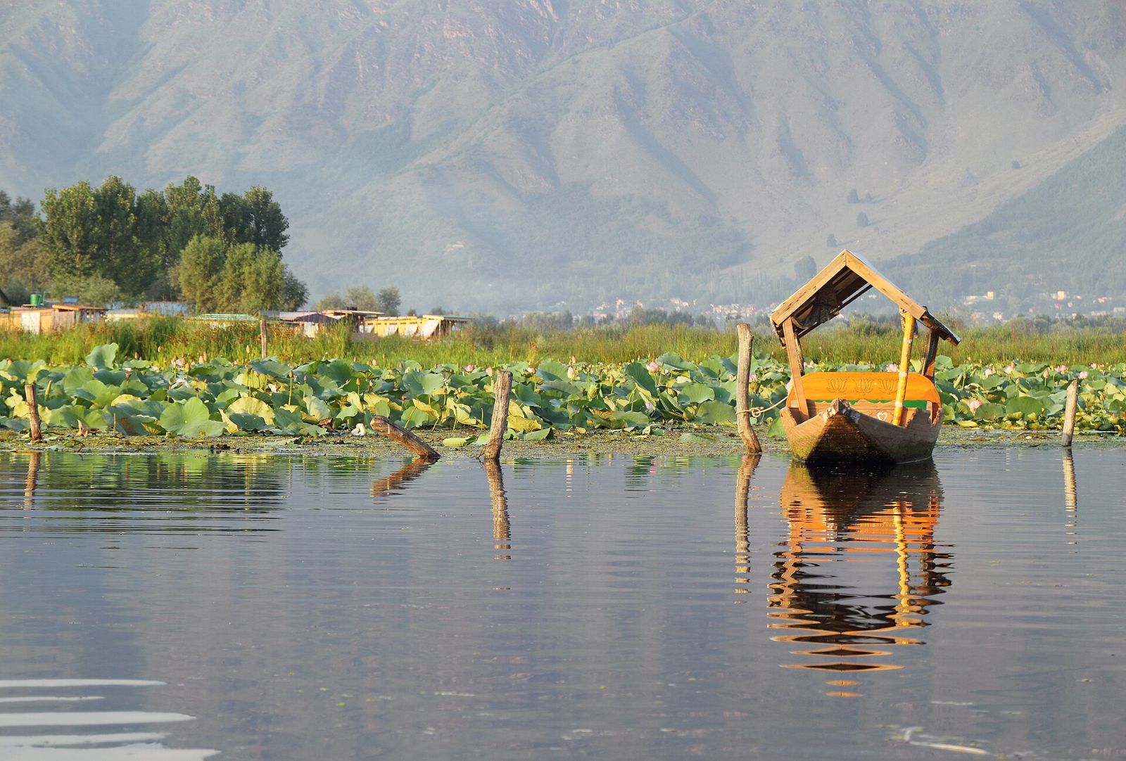 Shikara on Dal Lake