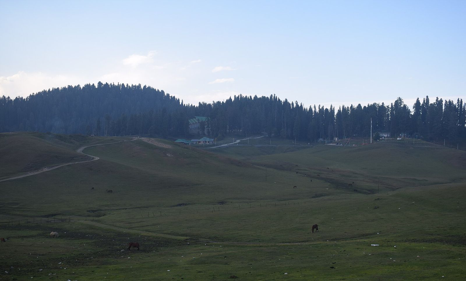 Gulmarg meadows