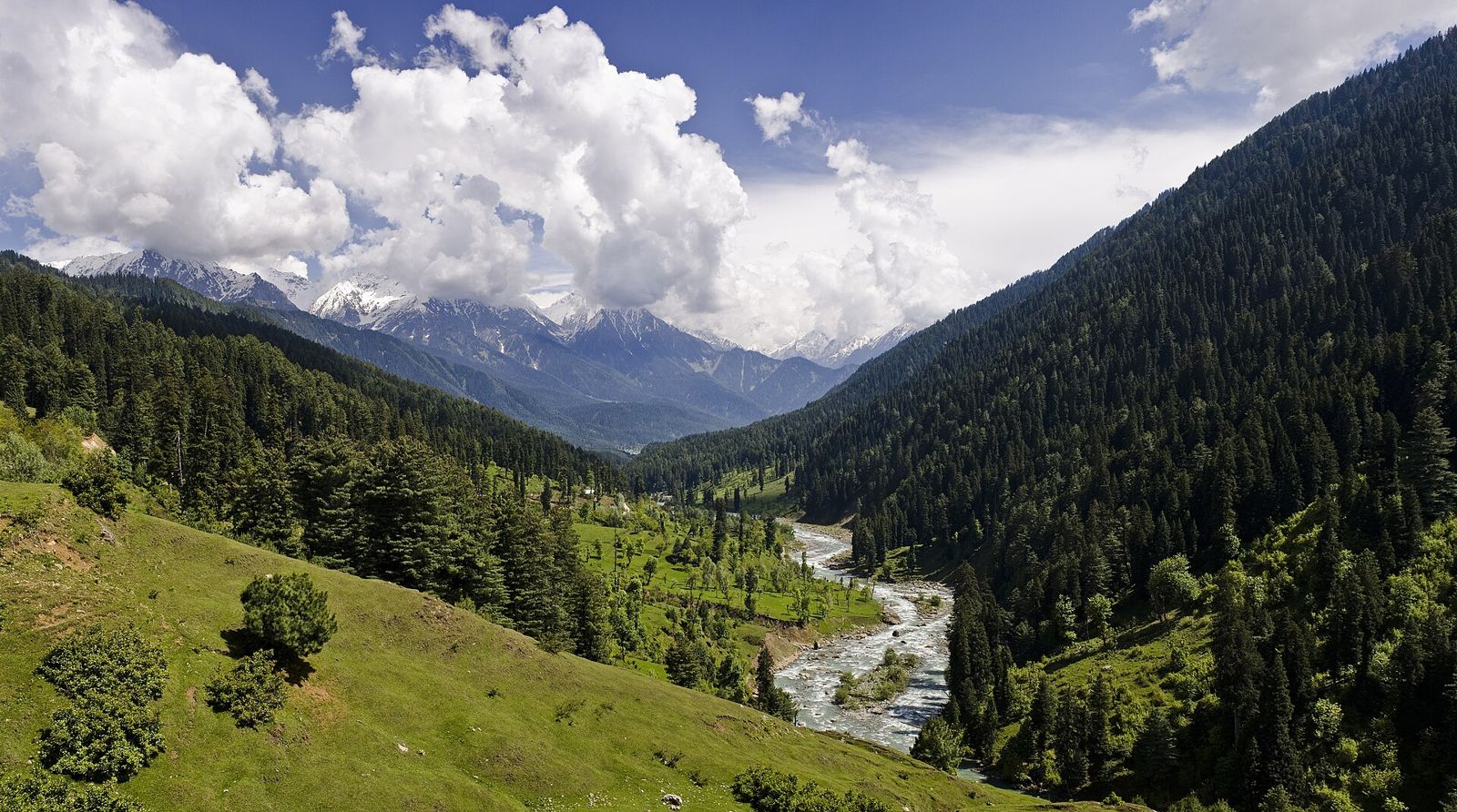 Pahalgam valley